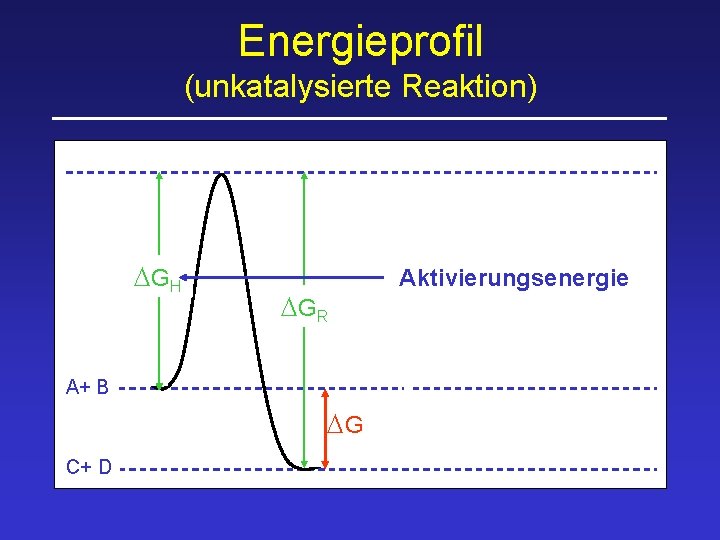 Energieprofil (unkatalysierte Reaktion) DGH DGR A+ B DG C+ D Aktivierungsenergie 