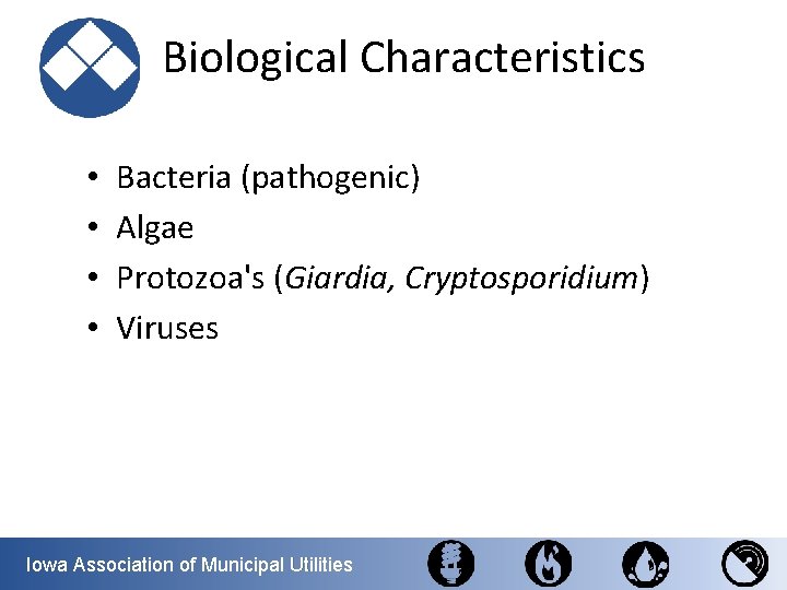  Biological Characteristics • • Bacteria (pathogenic) Algae Protozoa's (Giardia, Cryptosporidium) Viruses Iowa Association