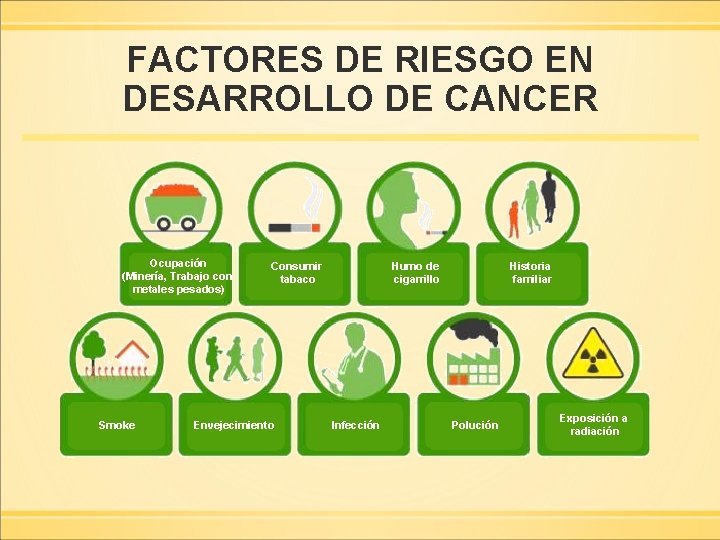 FACTORES DE RIESGO EN DESARROLLO DE CANCER Ocupación (Minería, Trabajo con metales pesados) Smoke