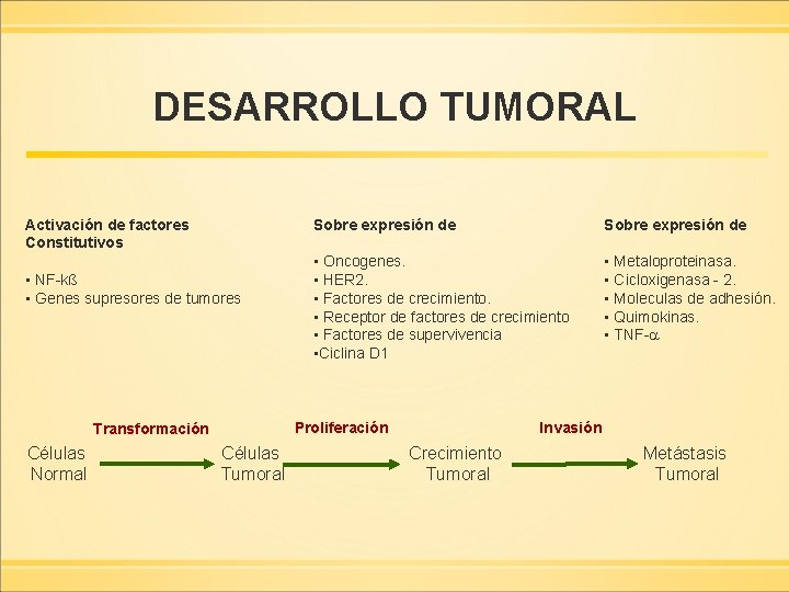 DESARROLLO TUMORAL Activación de factores Constitutivos • NF-kß • Genes supresores de tumores Sobre