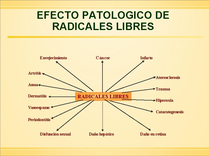 EFECTO PATOLOGICO DE RADICALES LIBRES Envejecimiento Cáncer Artritis Infarto Aterosclerosis Asma Trauma Dermatitis RADICALES