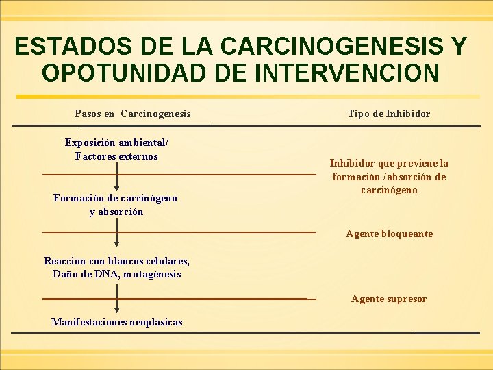 ESTADOS DE LA CARCINOGENESIS Y OPOTUNIDAD DE INTERVENCION Pasos en Carcinogenesis Exposición ambiental/ Factores