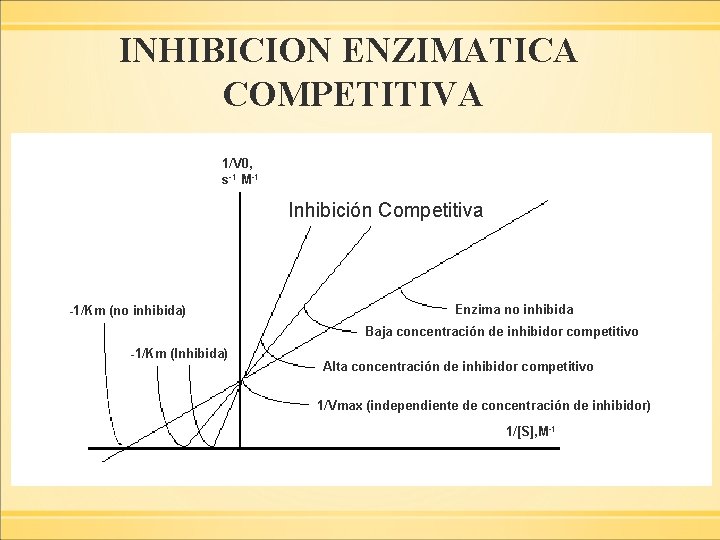 INHIBICION ENZIMATICA COMPETITIVA 1/V 0, s-1 M-1 Inhibición Competitiva -1/Km (no inhibida) Enzima no