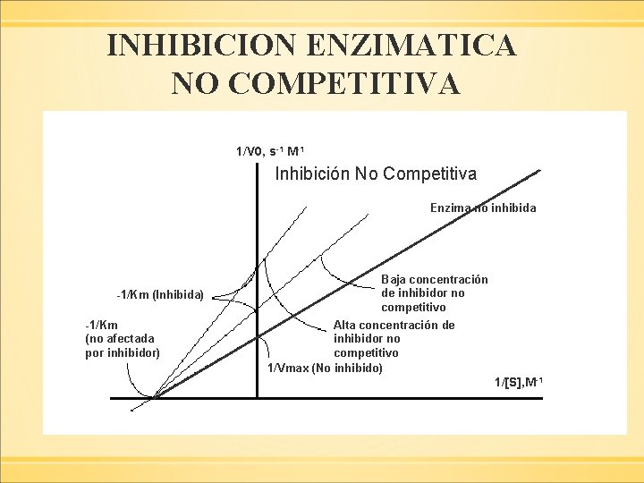 INHIBICION ENZIMATICA NO COMPETITIVA 1/V 0, s-1 M-1 Inhibición No Competitiva Enzima no inhibida