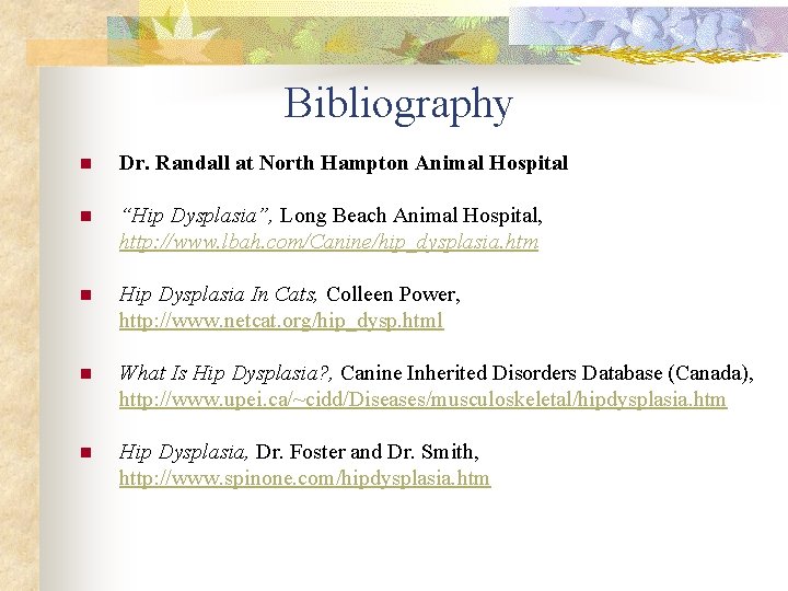 Bibliography n Dr. Randall at North Hampton Animal Hospital n “Hip Dysplasia”, Long Beach