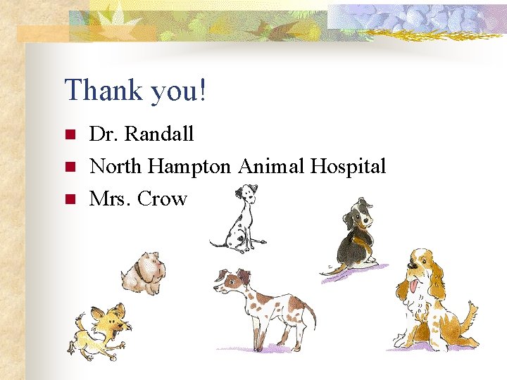 Thank you! n n n Dr. Randall North Hampton Animal Hospital Mrs. Crow 