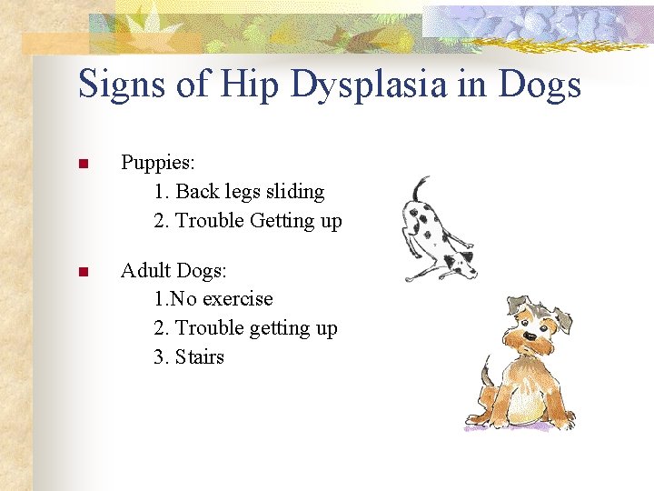 Signs of Hip Dysplasia in Dogs Puppies: 1. Back legs sliding 2. Trouble Getting