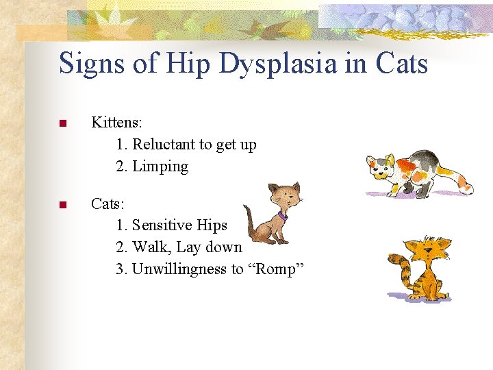 Signs of Hip Dysplasia in Cats Kittens: 1. Reluctant to get up 2. Limping