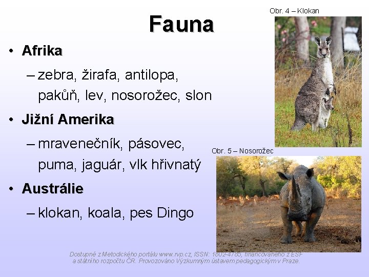 Fauna Obr. 4 – Klokan • Afrika – zebra, žirafa, antilopa, pakůň, lev, nosorožec,
