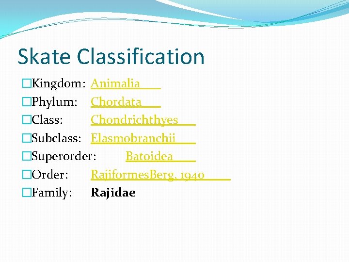 Skate Classification �Kingdom: Animalia �Phylum: Chordata �Class: Chondrichthyes �Subclass: Elasmobranchii �Superorder: Batoidea �Order: Rajiformes.