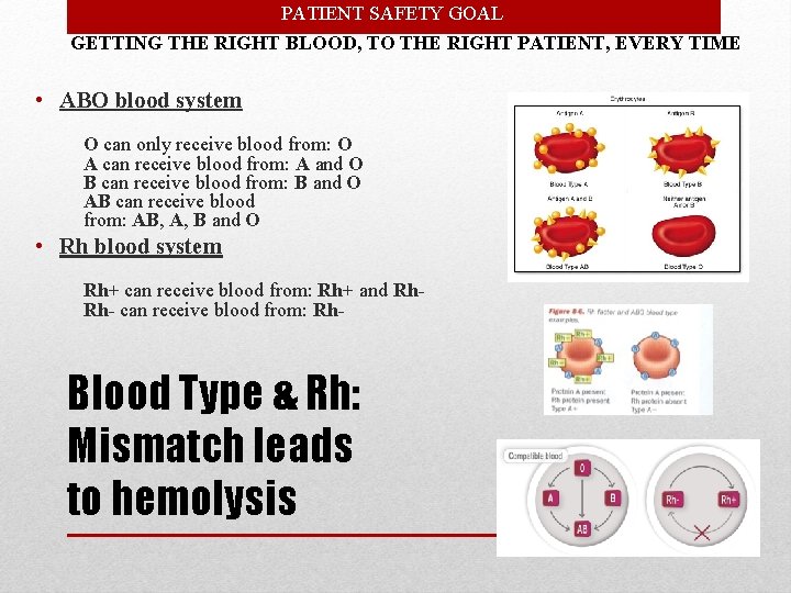 PATIENT SAFETY GOAL GETTING THE RIGHT BLOOD, TO THE RIGHT PATIENT, EVERY TIME •