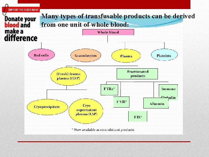Many types of transfusable products can be derived from one unit of whole blood: