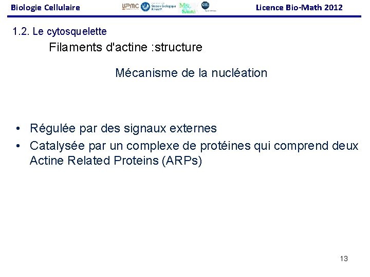 Biologie Cellulaire Licence Bio-Math 2012 1. 2. Le cytosquelette Filaments d'actine : structure Mécanisme