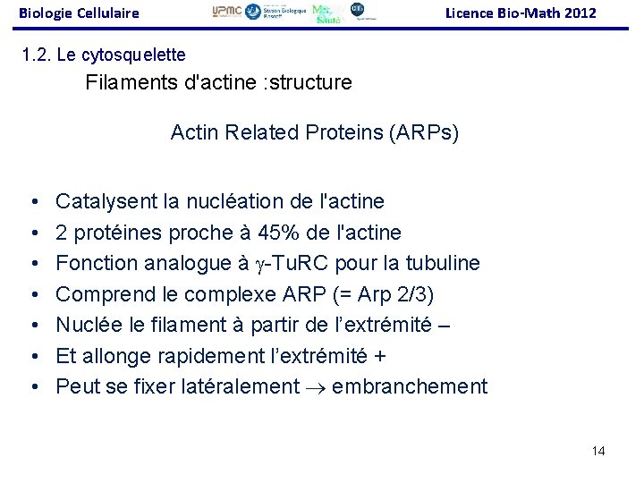 Biologie Cellulaire Licence Bio-Math 2012 1. 2. Le cytosquelette Filaments d'actine : structure Actin