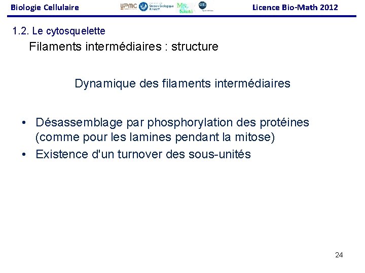 Biologie Cellulaire Licence Bio-Math 2012 1. 2. Le cytosquelette Filaments intermédiaires : structure Dynamique