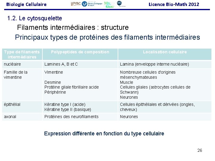 Biologie Cellulaire Licence Bio-Math 2012 1. 2. Le cytosquelette Filaments intermédiaires : structure Principaux