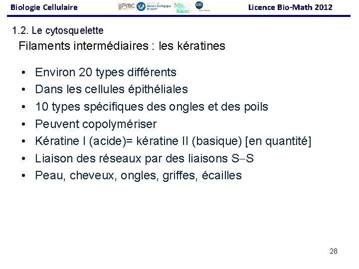 Biologie Cellulaire Licence Bio-Math 2012 1. 2. Le cytosquelette Filaments intermédiaires : les kératines