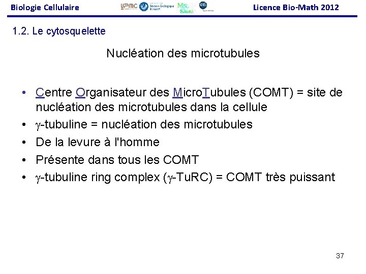 Biologie Cellulaire Licence Bio-Math 2012 1. 2. Le cytosquelette Nucléation des microtubules • Centre