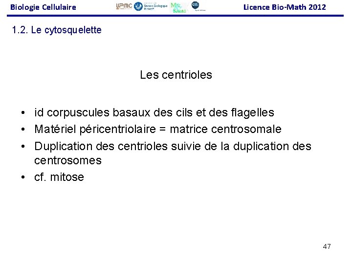 Biologie Cellulaire Licence Bio-Math 2012 1. 2. Le cytosquelette Les centrioles • id corpuscules