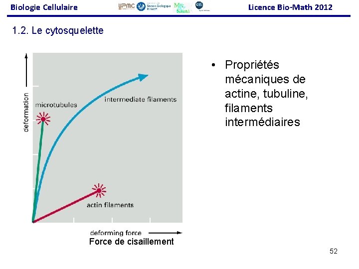 Biologie Cellulaire Licence Bio-Math 2012 1. 2. Le cytosquelette • Propriétés mécaniques de actine,