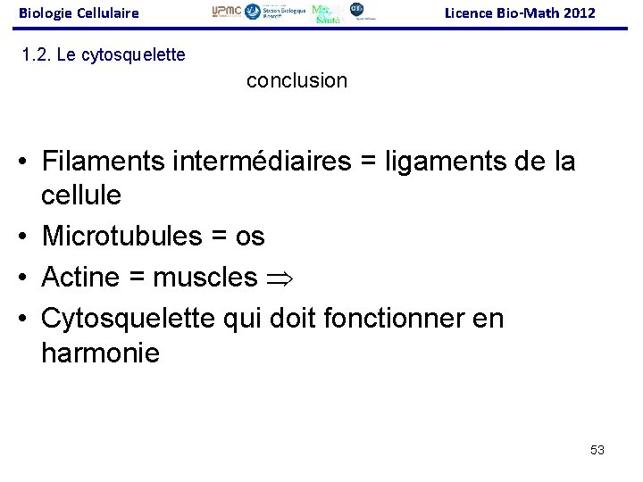 Biologie Cellulaire Licence Bio-Math 2012 1. 2. Le cytosquelette conclusion • Filaments intermédiaires =