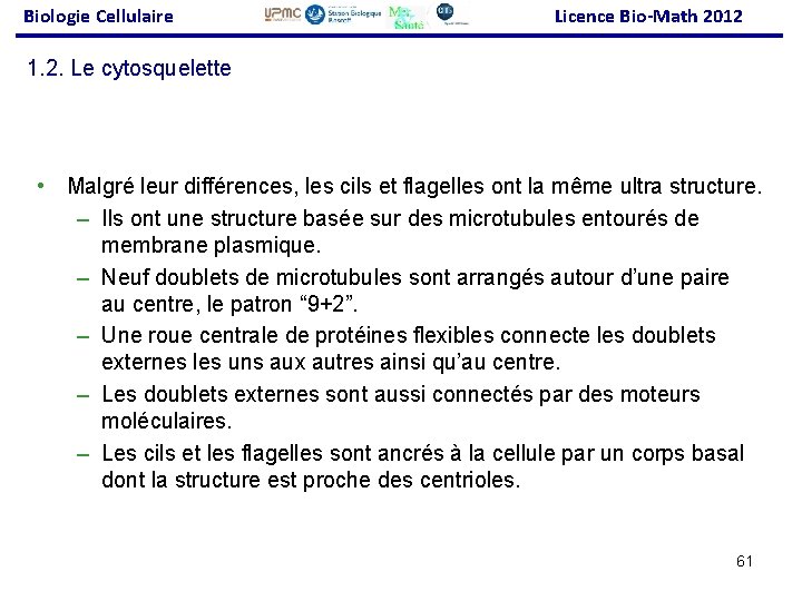 Biologie Cellulaire Licence Bio-Math 2012 1. 2. Le cytosquelette • Malgré leur différences, les