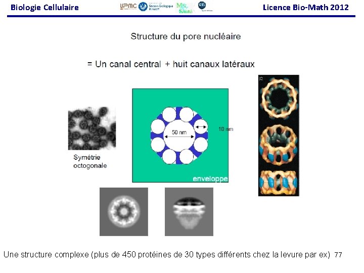 Biologie Cellulaire Licence Bio-Math 2012 Une structure complexe (plus de 450 protéines de 30