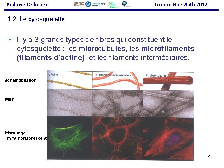Biologie Cellulaire Licence Bio-Math 2012 1. 2. Le cytosquelette • Il y a 3