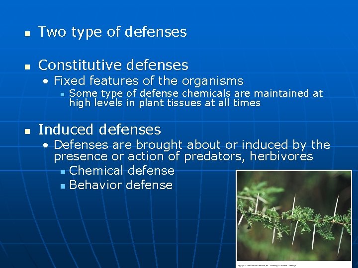 n Two type of defenses n Constitutive defenses • Fixed features of the organisms