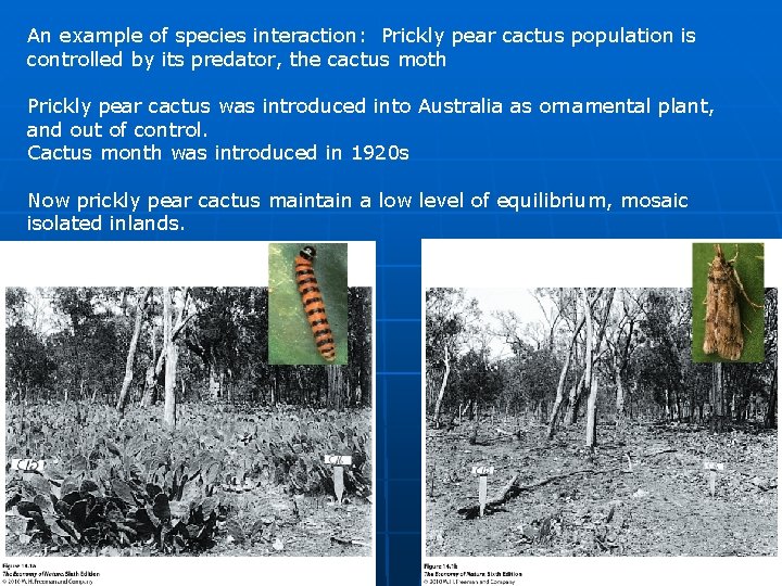 An example of species interaction: Prickly pear cactus population is controlled by its predator,