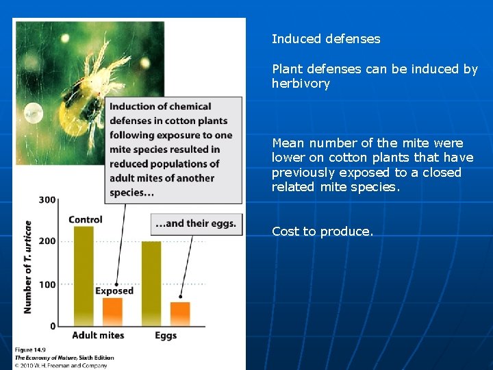 Induced defenses Plant defenses can be induced by herbivory Mean number of the mite