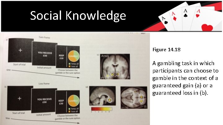 Social Knowledge Figure 14. 18 A gambling task in which participants can choose to