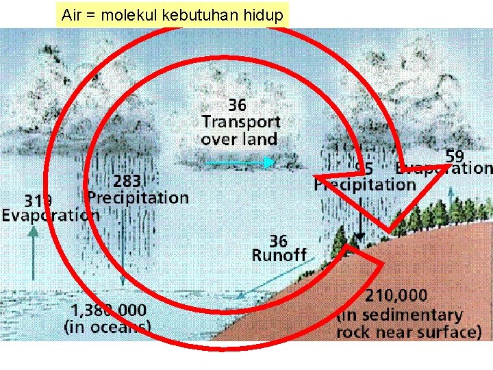 Air = molekul kebutuhan hidup 