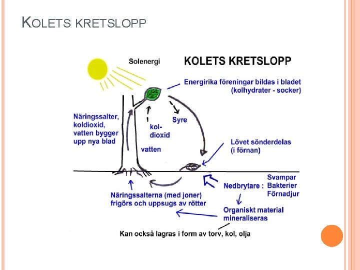 KOLETS KRETSLOPP 