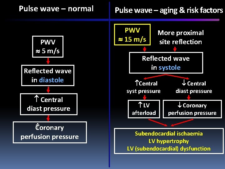 Pulse wave – normal PWV 5 m/s Reflected wave in diastole Central diast pressure