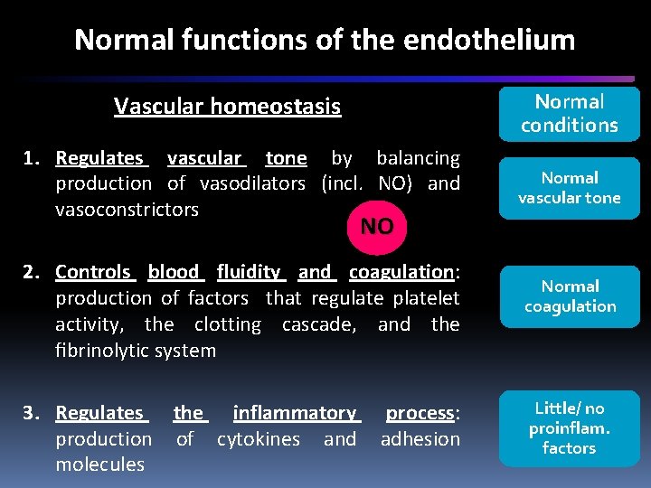 Normal functions of the endothelium Normal conditions Vascular homeostasis 1. Regulates vascular tone by