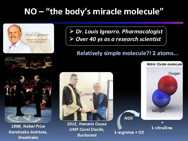 NO – “the body’s miracle molecule” Ø Dr. Louis Ignarro. Pharmacologist Ø Over 40