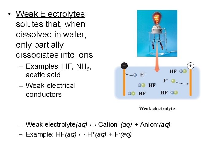  • Weak Electrolytes: solutes that, when dissolved in water, only partially dissociates into