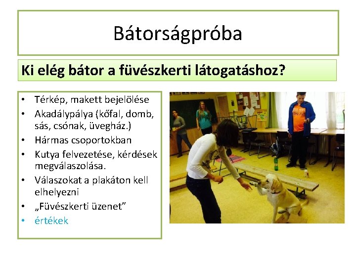 Bátorságpróba Ki elég bátor a füvészkerti látogatáshoz? • Térkép, makett bejelölése • Akadálypálya (kőfal,