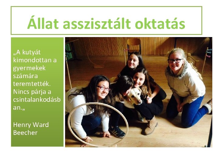 Állat asszisztált oktatás „A kutyát kimondottan a gyermekek számára teremtették. Nincs párja a csintalankodásb
