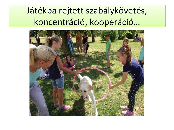 Játékba rejtett szabálykövetés, koncentráció, kooperáció… 
