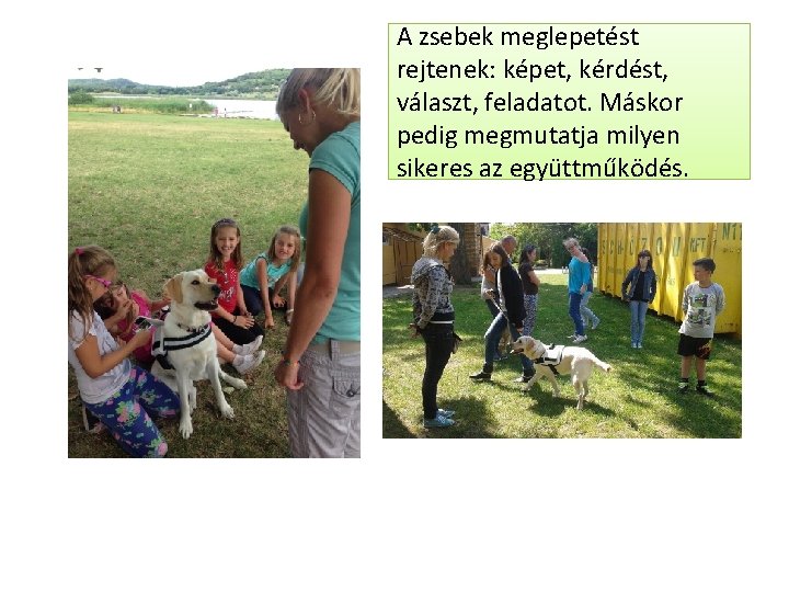 A zsebek meglepetést rejtenek: képet, kérdést, választ, feladatot. Máskor pedig megmutatja milyen sikeres az