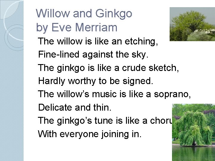 Willow and Ginkgo by Eve Merriam The willow is like an etching, Fine-lined against