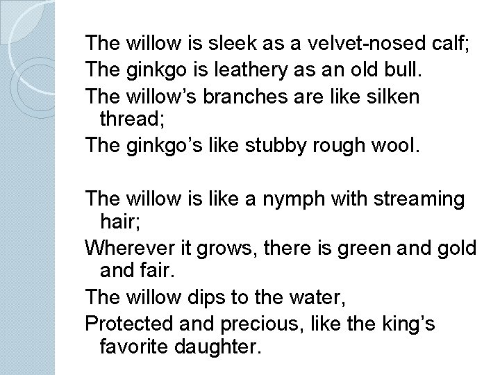 The willow is sleek as a velvet-nosed calf; The ginkgo is leathery as an