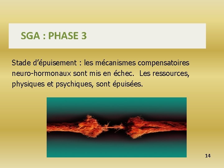 SGA : PHASE 3 Stade d’épuisement : les mécanismes compensatoires neuro-hormonaux sont mis en