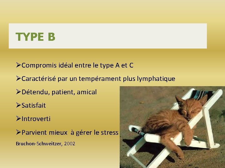 TYPE B ØCompromis idéal entre le type A et C ØCaractérisé par un tempérament