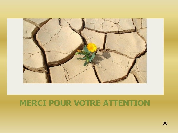 MERCI POUR VOTRE ATTENTION 30 