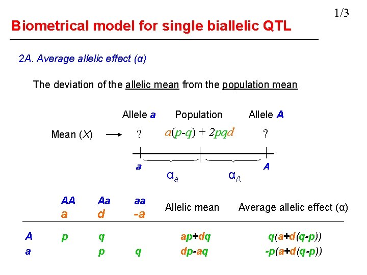Biometrical model for single biallelic QTL 1/3 2 A. Average allelic effect (α) The