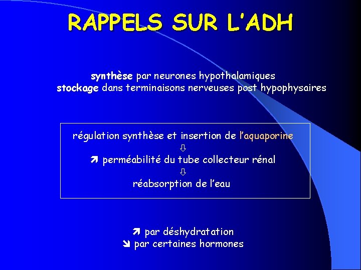 RAPPELS SUR L’ADH synthèse par neurones hypothalamiques stockage dans terminaisons nerveuses post hypophysaires régulation