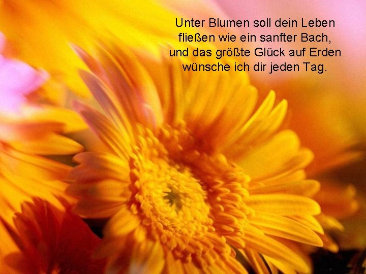 Unter Blumen soll dein Leben fließen wie ein sanfter Bach, und das größte Glück